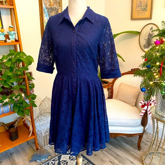 Plus size ModCloth lace swing dress - Picture 1 of 6